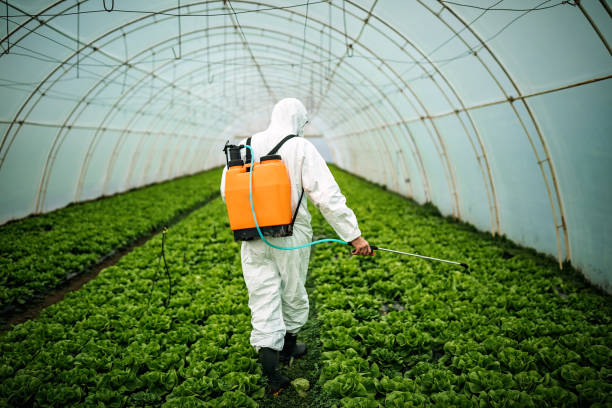 Best Pest Control Near Me  in South Rosemary, NC