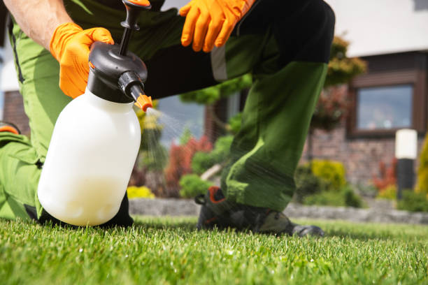 Professional Pest Control in South Rosemary, NC