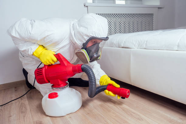 Best Mosquito Control Services  in South Rosemary, NC