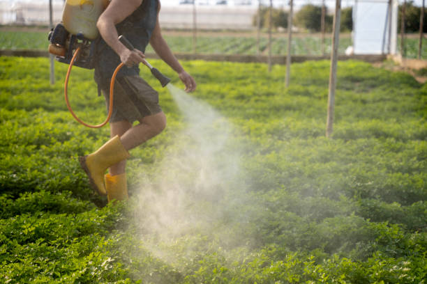 Best Residential Pest Control  in South Rosemary, NC