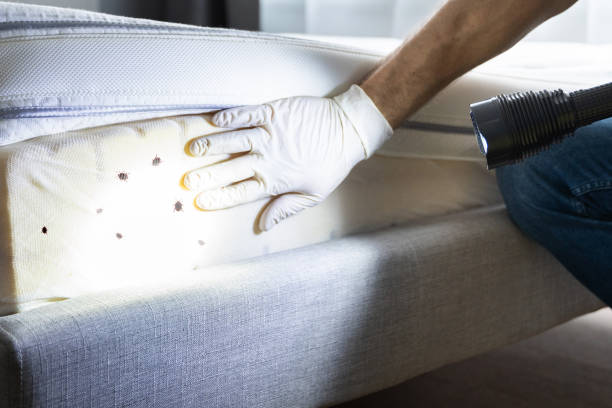 Best Pest Control Cost  in South Rosemary, NC