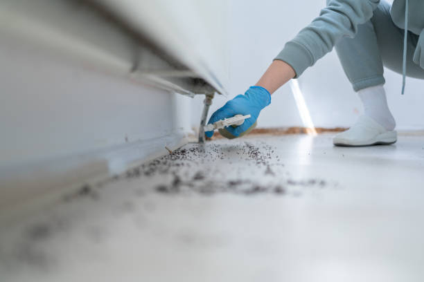 Best Flea Control Services  in South Rosemary, NC